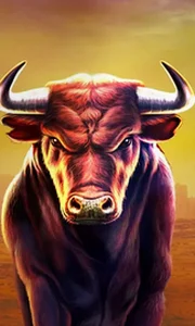 Black Bull